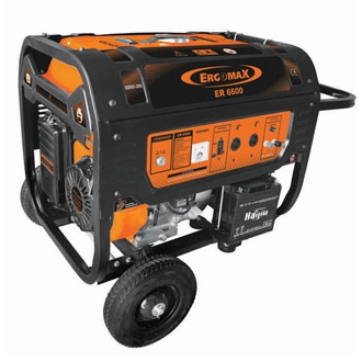 ���������� ��������� ERGOMAX ER 6600