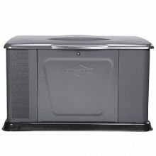 Briggs&Stratton G110