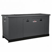 Briggs&Stratton G290